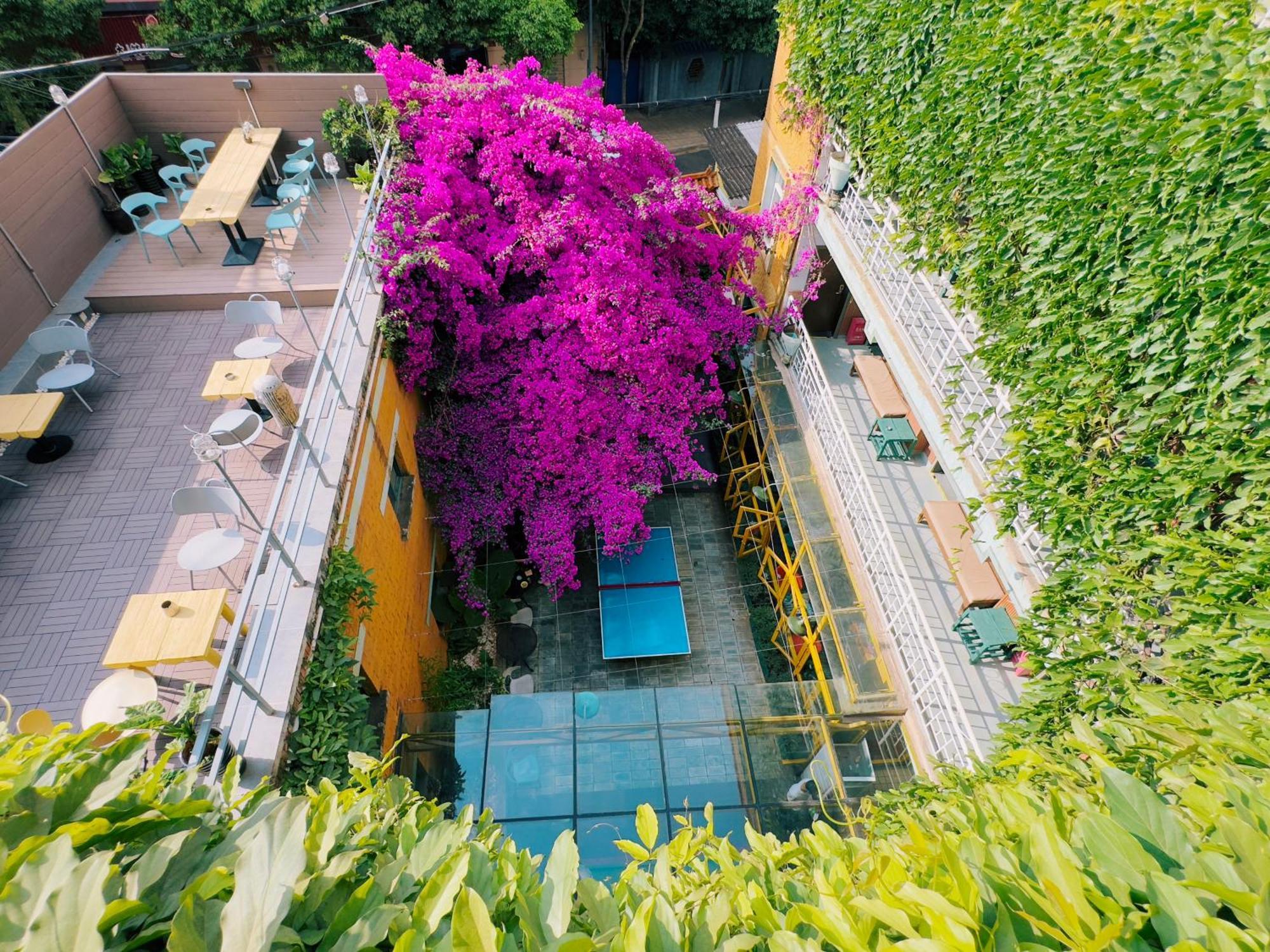 The Cloudland International Youth Hostel Close To The City Center,10 Min Walks To The Subway, Close To The Night Market, Old Street, Green Lake, English-Speaking Service, Free Activity Convenient Payment And Visa Cards Are Accepted Куньмін Екстер'єр фото