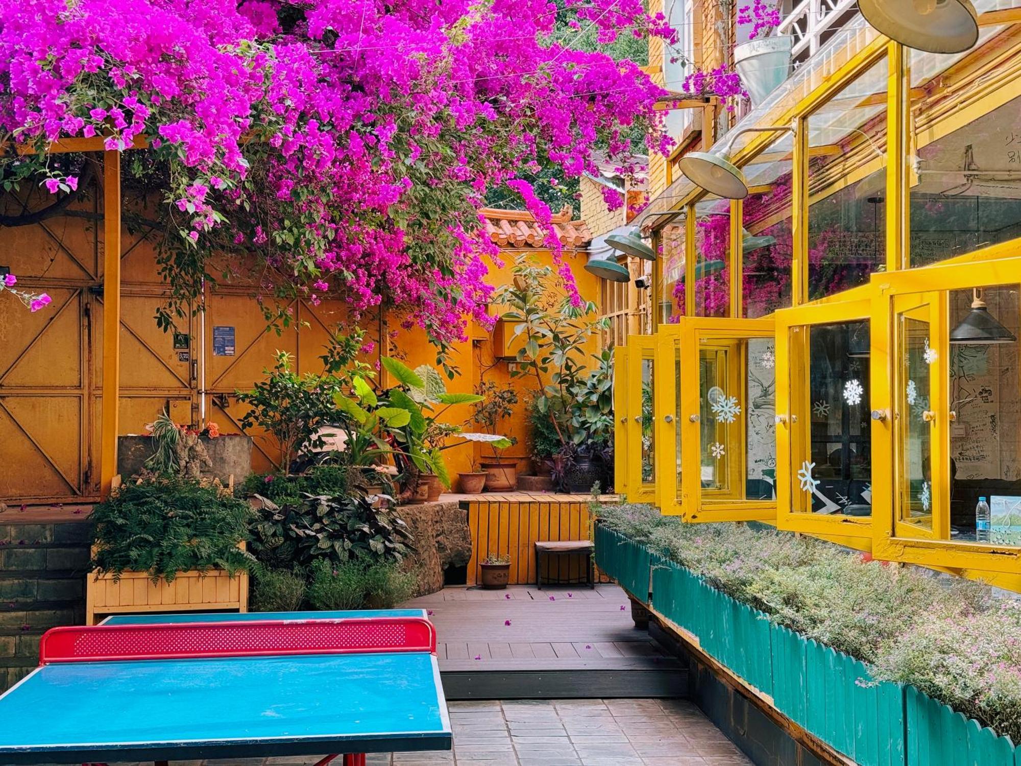 The Cloudland International Youth Hostel Close To The City Center,10 Min Walks To The Subway, Close To The Night Market, Old Street, Green Lake, English-Speaking Service, Free Activity Convenient Payment And Visa Cards Are Accepted Куньмін Екстер'єр фото